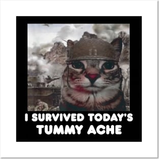 I Survived Today's Tummy Ache Meme Posters and Art